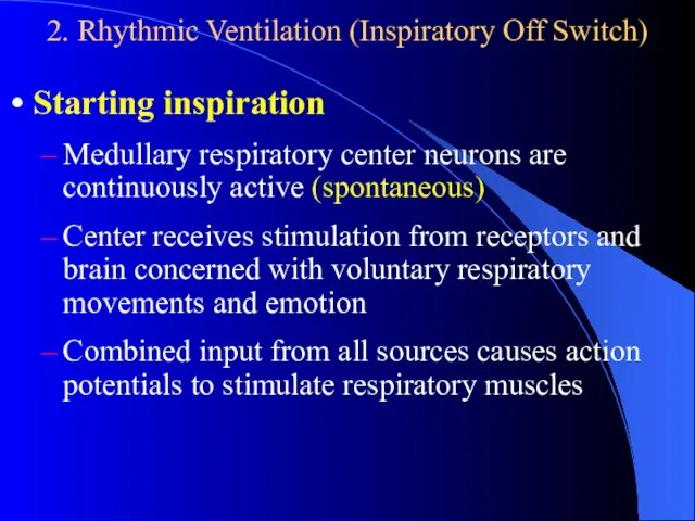 2. Rhythmic Ventilation (Inspiratory Off Switch) Starting inspiration Medullary respiratory center neurons