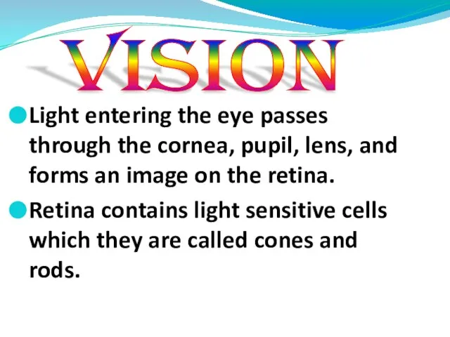 Light entering the eye passes through the cornea, pupil, lens, and forms