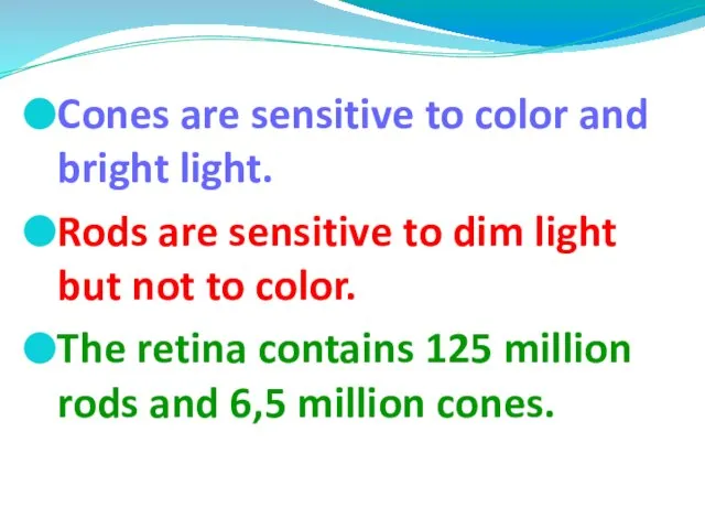 Cones are sensitive to color and bright light. Rods are sensitive to