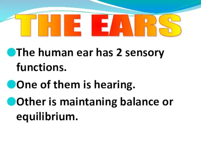 The human ear has 2 sensory functions. One of them is hearing.