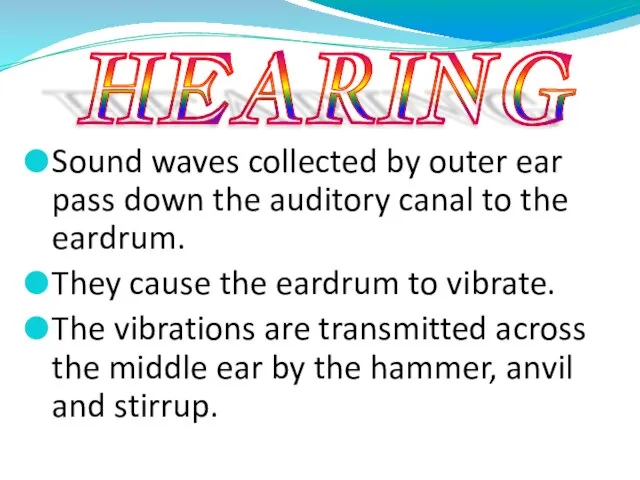 Sound waves collected by outer ear pass down the auditory canal to