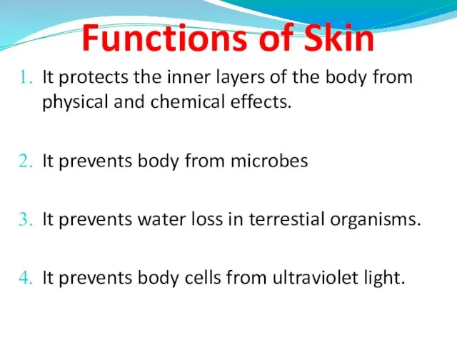 Functions of Skin It protects the inner layers of the body from