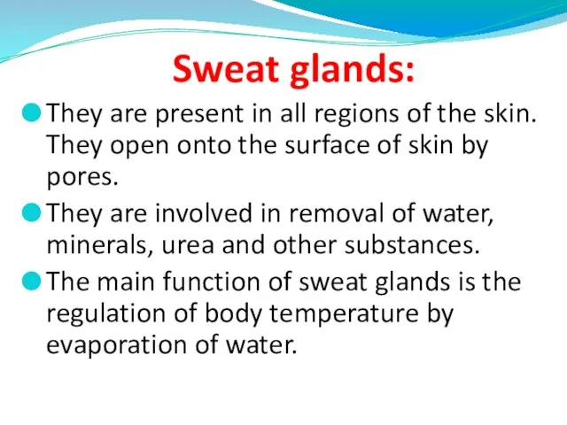 Sweat glands: They are present in all regions of the skin. They