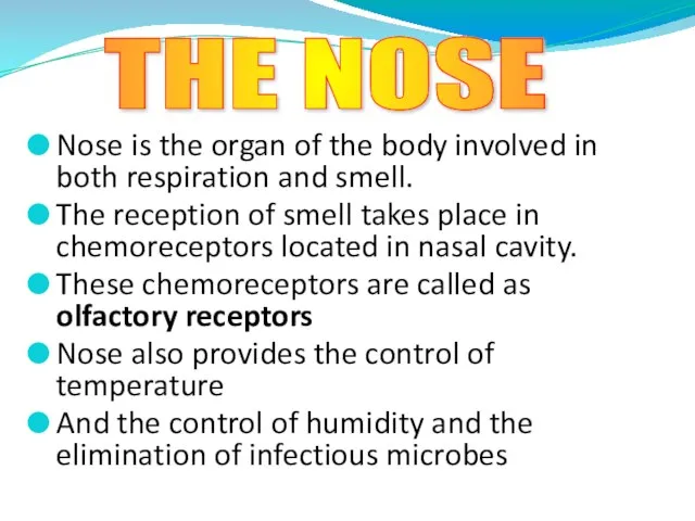 Nose is the organ of the body involved in both respiration and