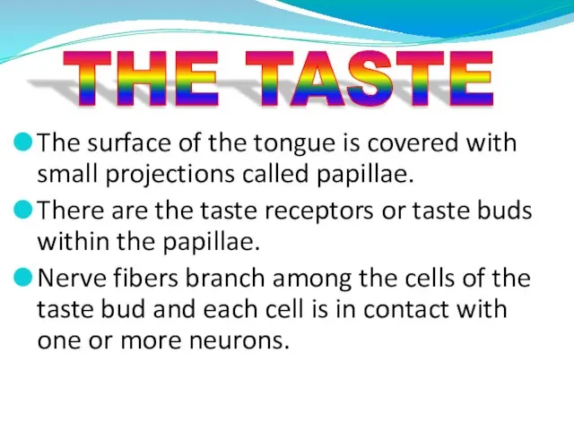 The surface of the tongue is covered with small projections called papillae.