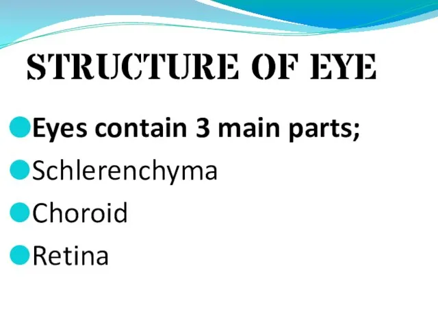 STRUCTURE OF EYE Eyes contain 3 main parts; Schlerenchyma Choroid Retina