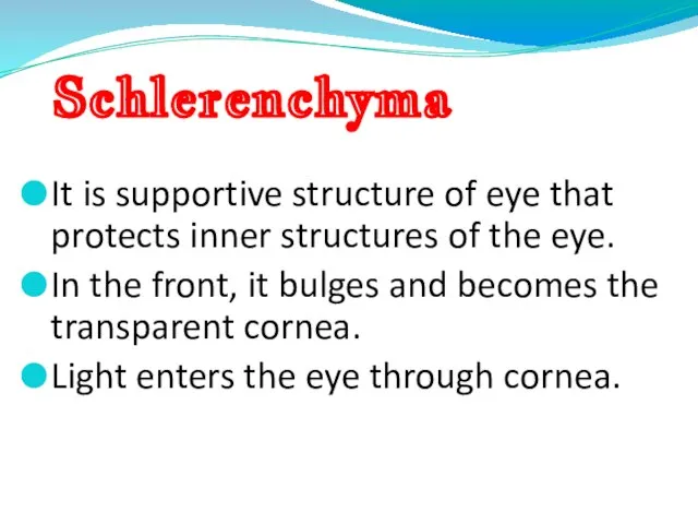 Schlerenchyma It is supportive structure of eye that protects inner structures of