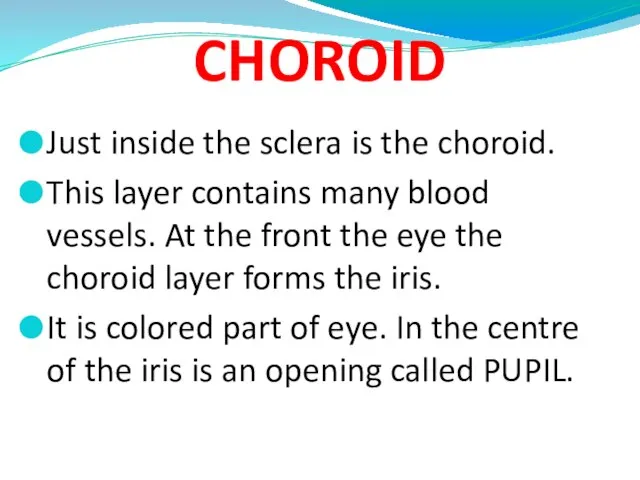 CHOROID Just inside the sclera is the choroid. This layer contains many