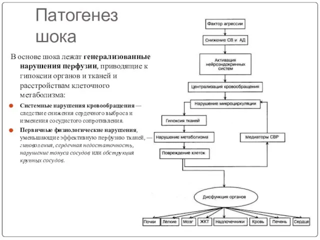 Патогенез шока В основе шока лежат генерализованные нарушения перфузии, приводящие к гипоксии