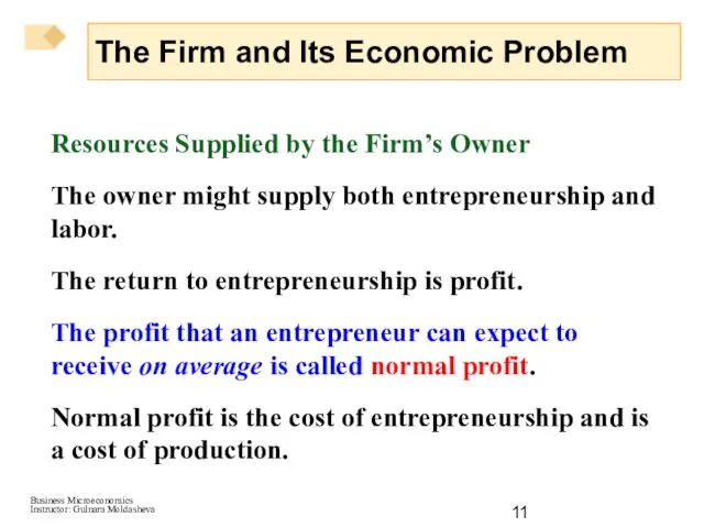 Resources Supplied by the Firm’s Owner The owner might supply both entrepreneurship