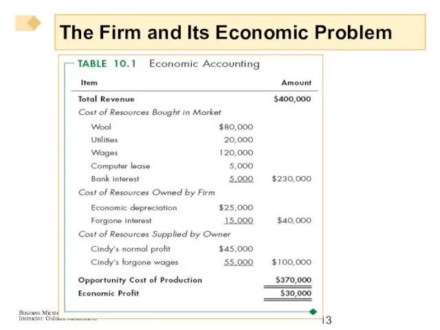 The Firm and Its Economic Problem