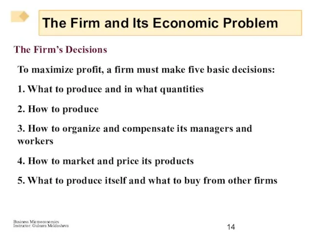 The Firm’s Decisions To maximize profit, a firm must make five basic