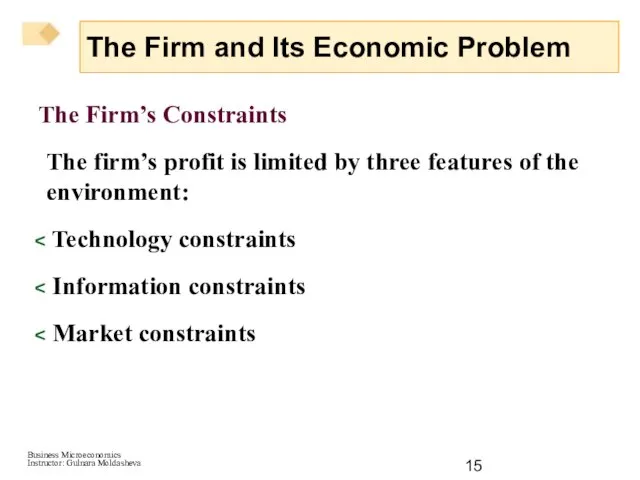 The Firm’s Constraints The firm’s profit is limited by three features of