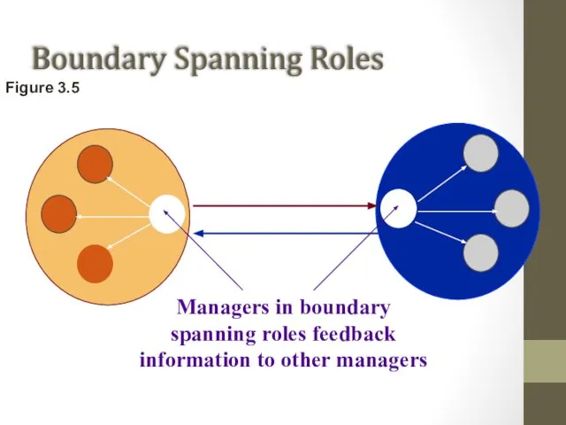 Boundary Spanning Roles Figure 3.5 Managers in boundary spanning roles feedback information to other managers