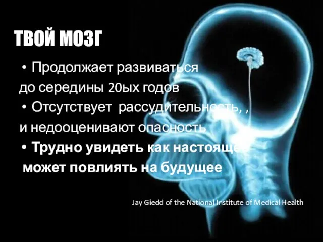 ТВОЙ МОЗГ Продолжает развиваться до середины 20ых годов Отсутствует рассудительность, , и