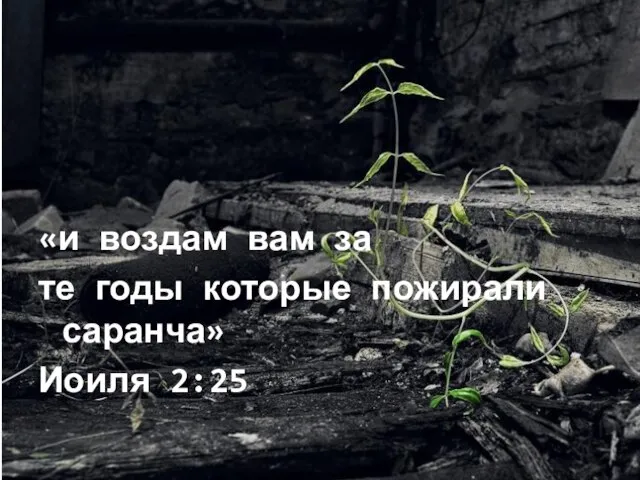 «и воздам вам за те годы которые пожирали саранча» Иоиля 2:25