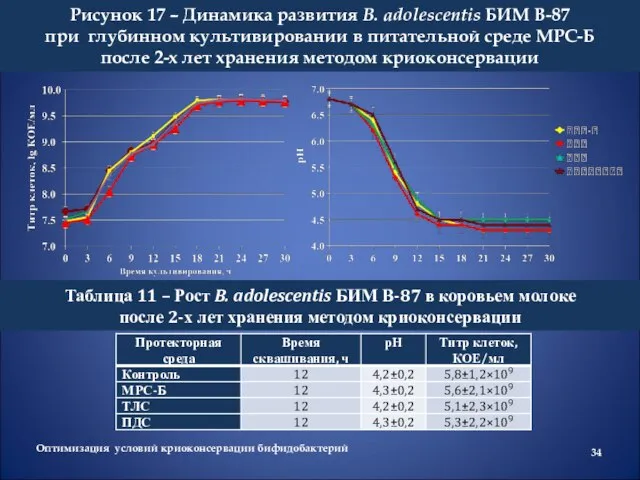 Рисунок 17 – Динамика развития B. adolescentis БИМ В-87 при глубинном культивировании