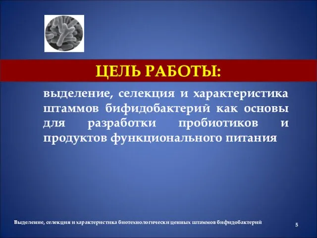 ЦЕЛЬ РАБОТЫ: выделение, селекция и характеристика штаммов бифидобактерий как основы для разработки