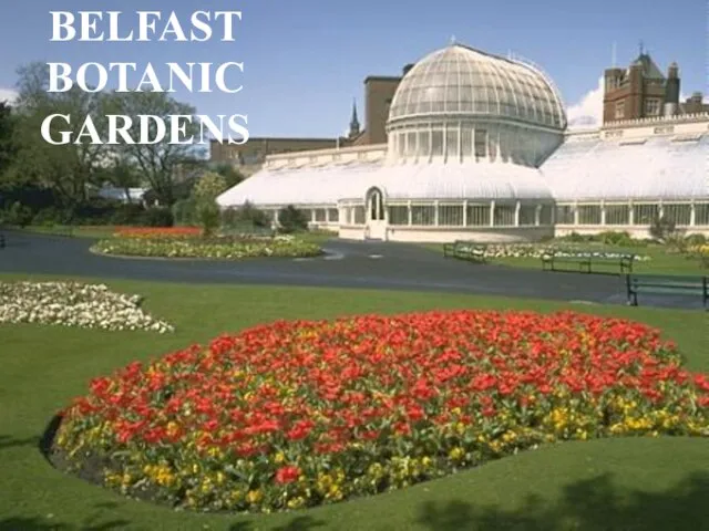 BELFAST BOTANIC GARDENS