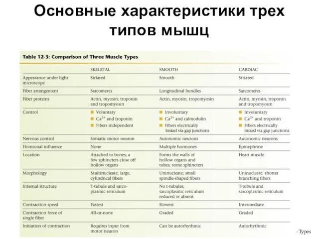 Основные характеристики трех типов мышц Table 12-3: Comparison of Three Muscle Types