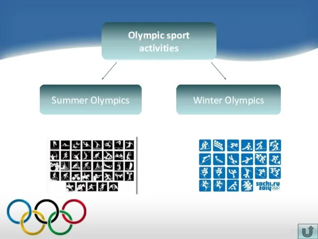 Olympic sport activities Winter Olympics Summer Olympics