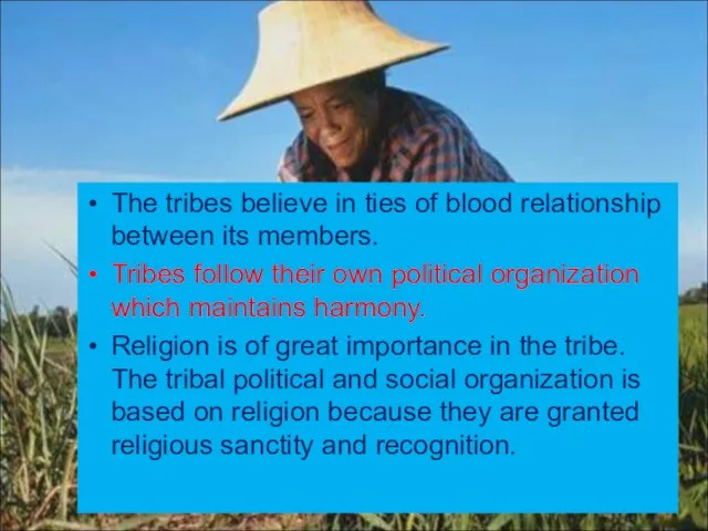 The tribes believe in ties of blood relationship between its members. Tribes