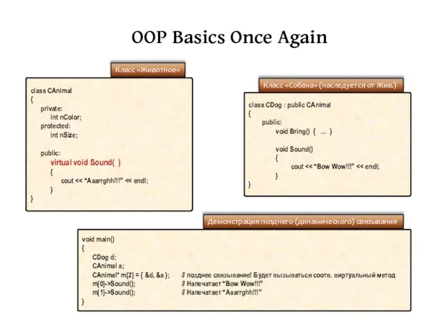 OOP Basics Once Again class CAnimal { private: int nColor; protected: int