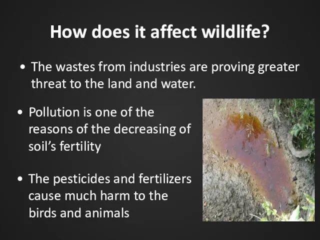 How does it affect wildlife? The wastes from industries are proving greater