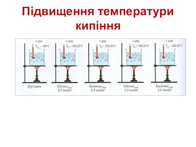 Підвищення температури кипіння