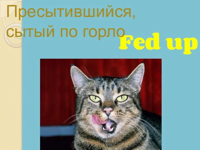 Fed up Пресытившийся, сытый по горло