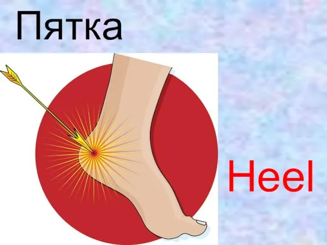 Heel Пятка