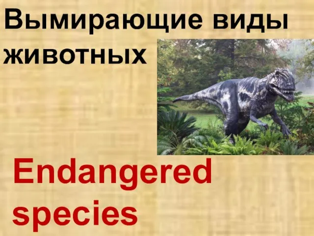 Endangered species Вымирающие виды животных