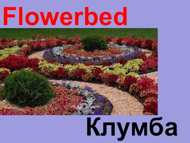 Flowerbed Клумба