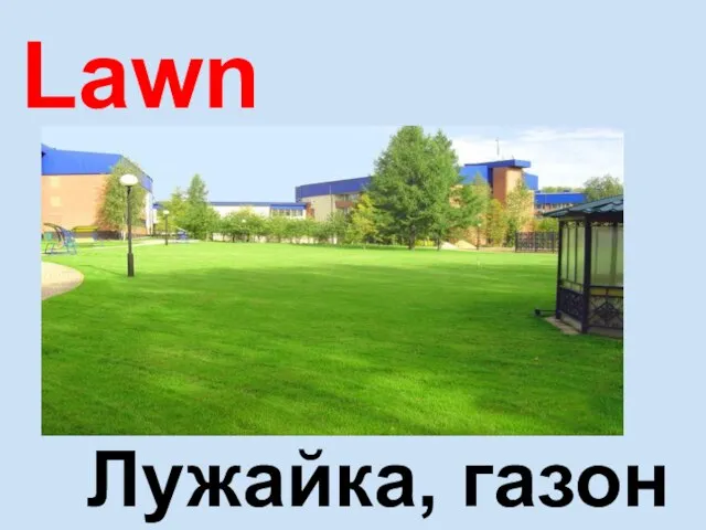 Lawn Лужайка, газон