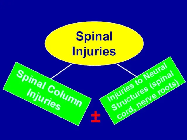 Spinal Injuries Spinal Column Injuries Injuries to Neural Structures (spinal cord, nerve roots) ±