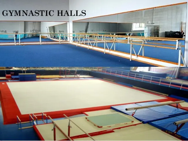 GYMNASTIC HALLS