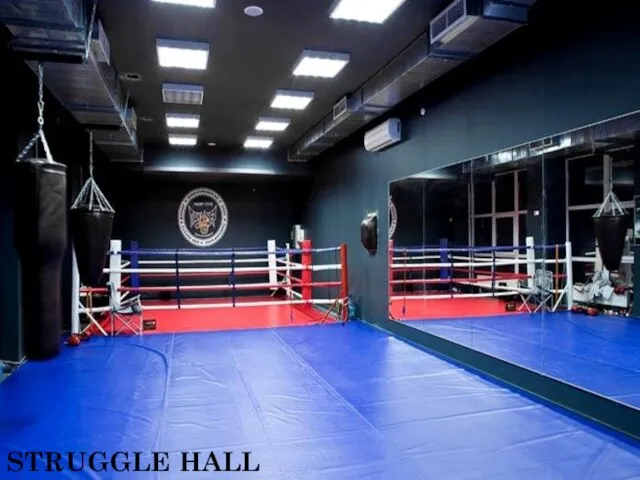 STRUGGLE HALL