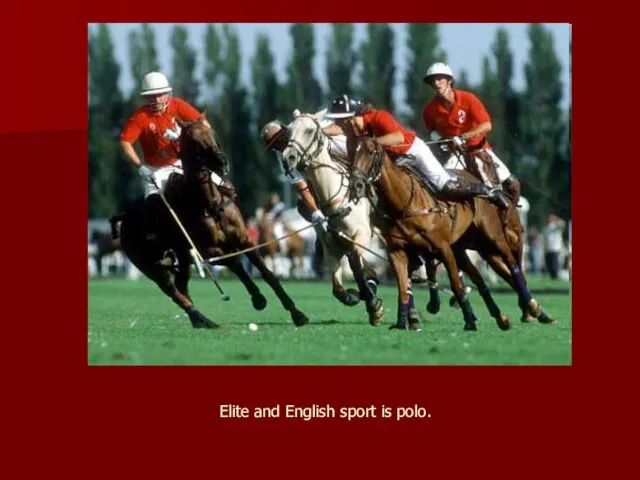 Elite and English sport is polo.