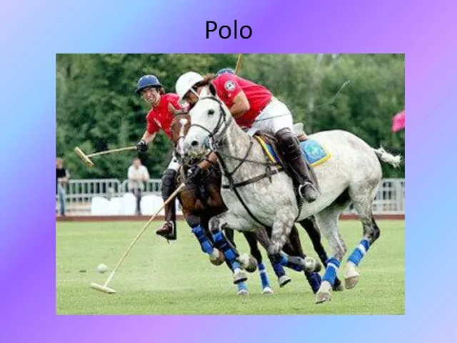 Polo