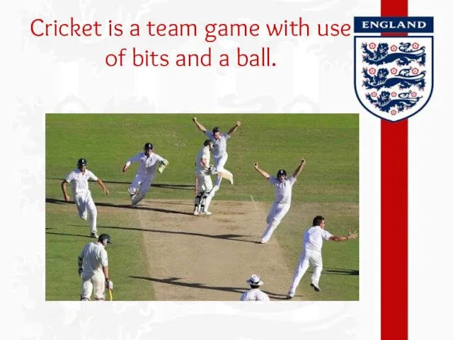 Cricket is a team game with use of bits and a ball.