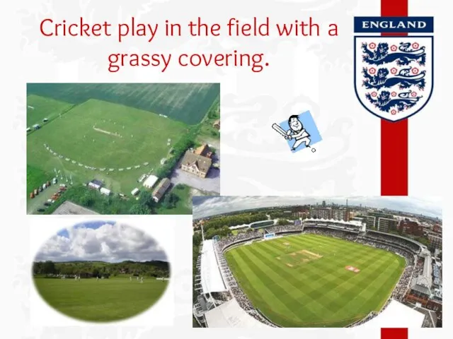 Cricket play in the field with a grassy covering.