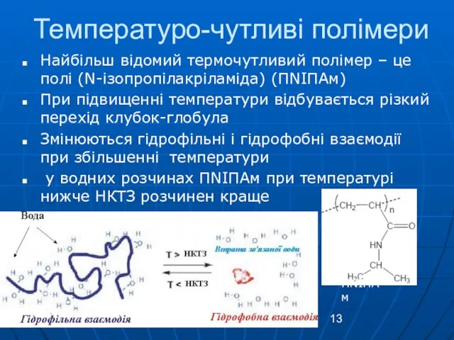 lecture4 Найбільш відомий термочутливий полімер – це полі (N-ізопропілакріламіда) (ПNІПАм) При підвищенні