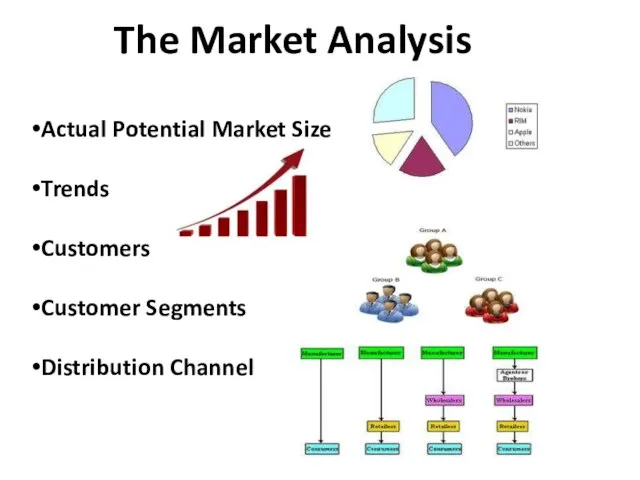 The Market Analysis Actual Potential Market Size Trends Customers Customer Segments Distribution Channel