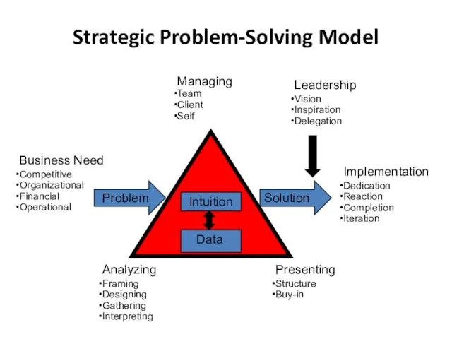 Strategic Problem-Solving Model Data Intuition Managing Team Client Self Leadership Vision Inspiration