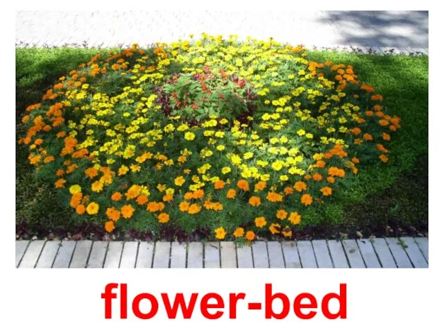 flower-bed