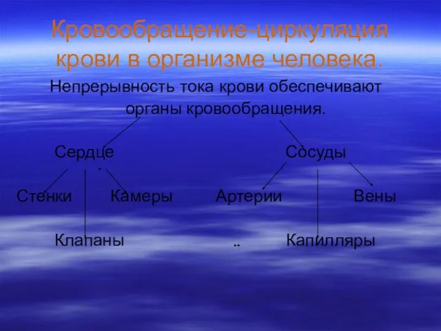 Кровообращение-циркуляция крови в организме человека. Непрерывность тока крови обеспечивают органы кровообращения. Сердце