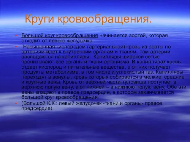 Круги кровообращения. Большой круг кровообращения начинается аортой, которая отходит от левого желудочка.