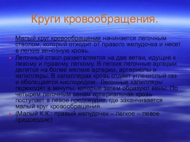 Круги кровообращения. Малый круг кровообращения начинается легочным стволом, который отходит от правого