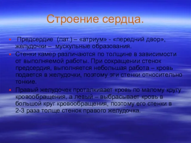 Строение сердца. Предсердие (лат.) – «атриум» - «передний двор», желудочки – мускульные