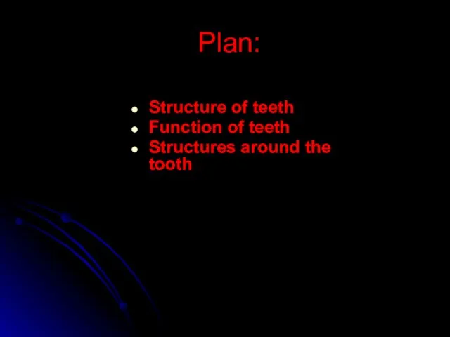 Plan: Structure of teeth Function of teeth Structures around the tooth